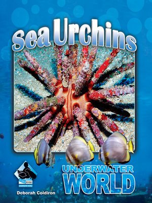 cover image of Sea Urchins